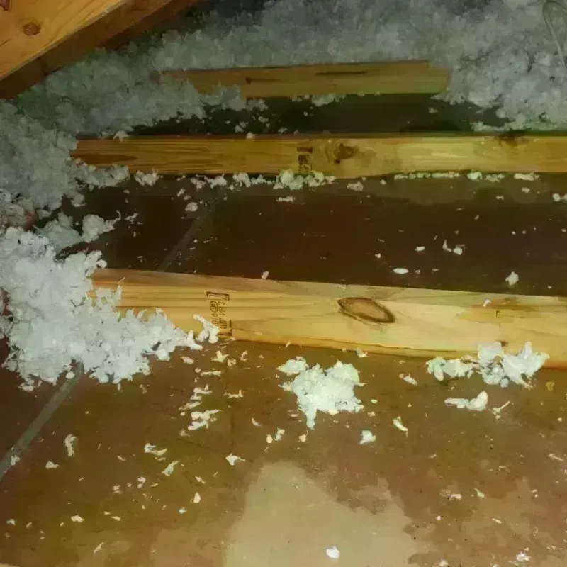 Attic Water Damage in Yamhill County, OR