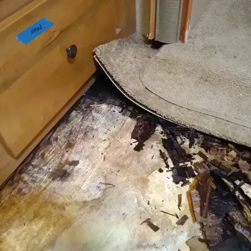 Best Wood Floor Water Damage Service in Yamhill County, OR